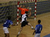 Gehrlosen-Handball-Europameisterschaften 2008 der Herren
