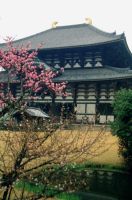 Fotoausstellung: Japan in Kirschblüte
