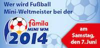 Mini WM 2014