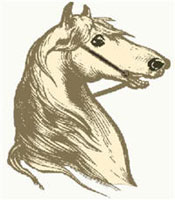 Zeichung: Pferd