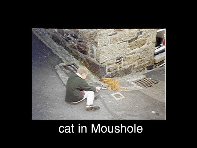 Mouse!!!hole